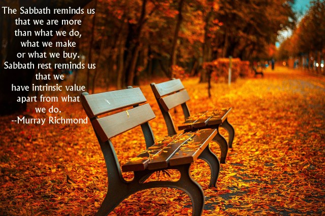 bench-560435_1280 (1)