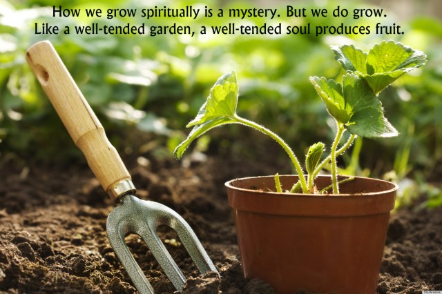 o-GARDENING-TOOL-facebook