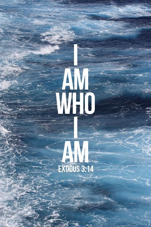 4fbba0c879769108ee5a64394d3b1050