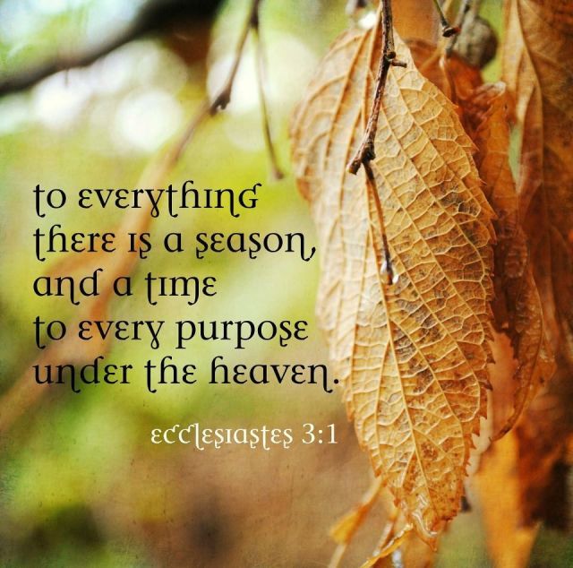 75b625ea707d3dfb156afc8d9f6aa2ad