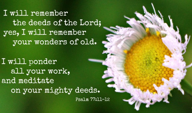 10992574ea66b39dc04a7436970f5f2a